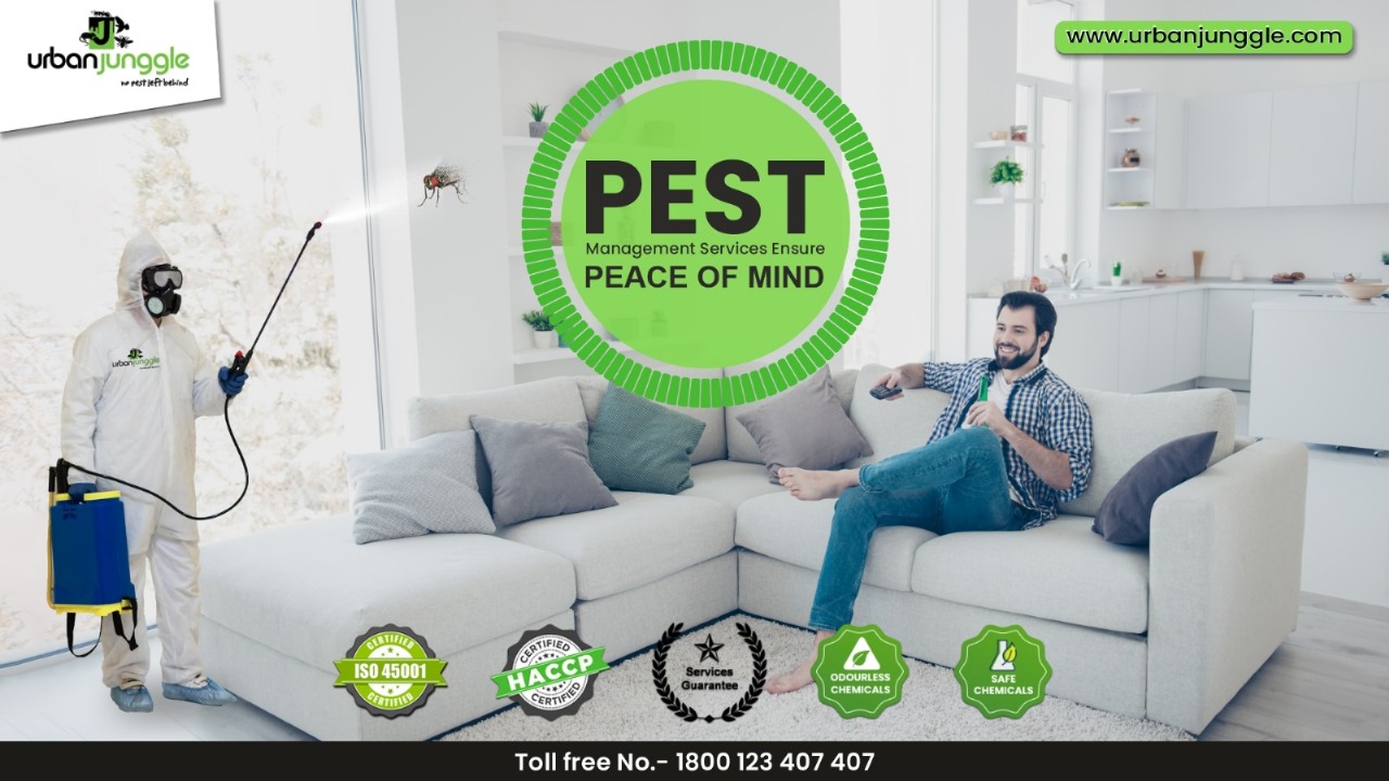 Guardians of Your Property: Urban Junggle Pest Management Services Ensure Peace of Mind
