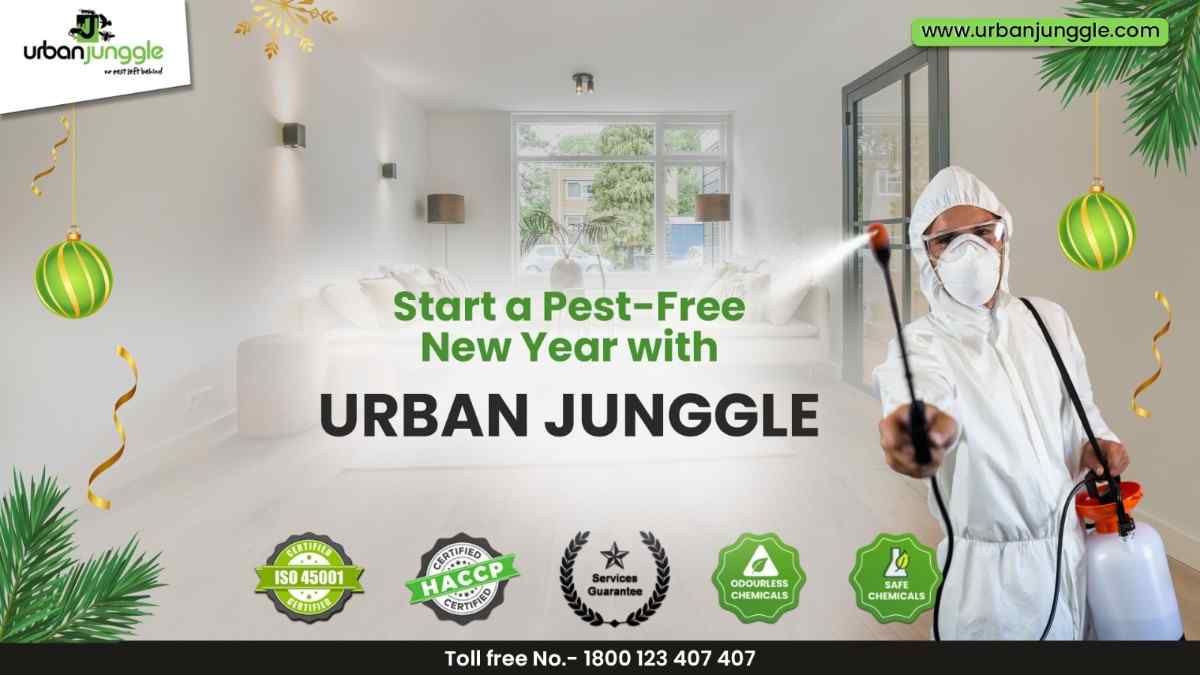 Start a Pest-Free New Year with Urban Junggle